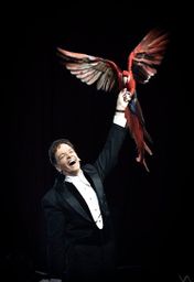 Joseph Gabriel Magic